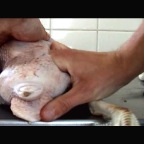 Hand-in-Huhn